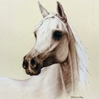 Arabian horse, pstels, 40x30 cm
